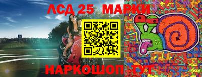 индика Ирбит