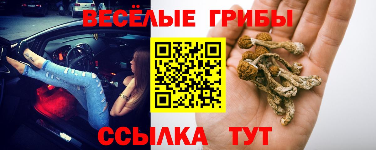Новошахтинск  где продают   Вход с VPN  Псилоцибиновые грибы GOLDEN TEACHER 