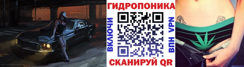 Бошки марихуана White Widow  купить наркоту  Новошахтинск 